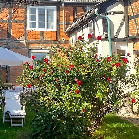 Fachwerk-fischerhaus An Elbe Und Aland Holiday home Schnackenburg